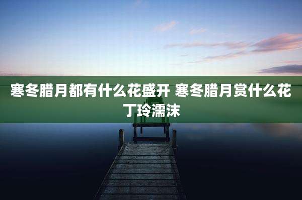 寒冬腊月都有什么花盛开 寒冬腊月赏什么花丁玲濡沫