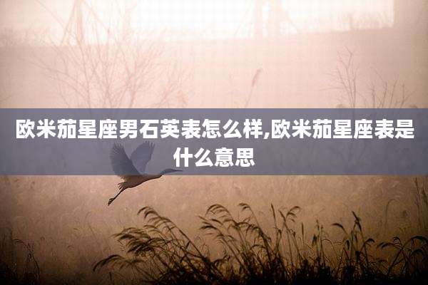 欧米茄星座男石英表怎么样,欧米茄星座表是什么意思