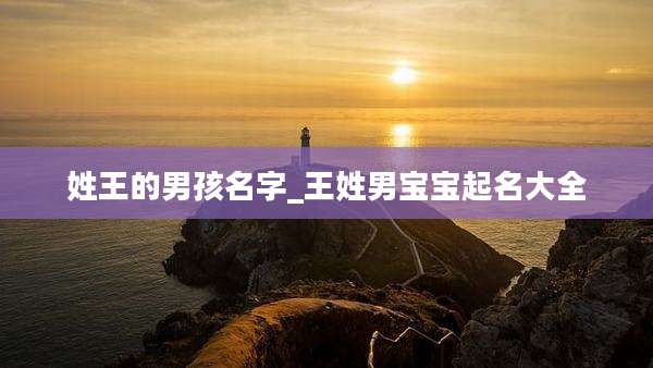 姓王的男孩名字_王姓男宝宝起名大全