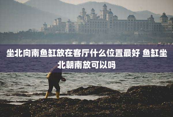 坐北向南鱼缸放在客厅什么位置最好 鱼缸坐北朝南放可以吗