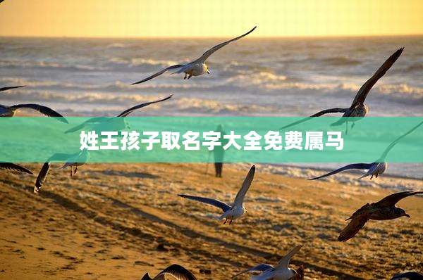 姓王孩子取名字大全免费属马