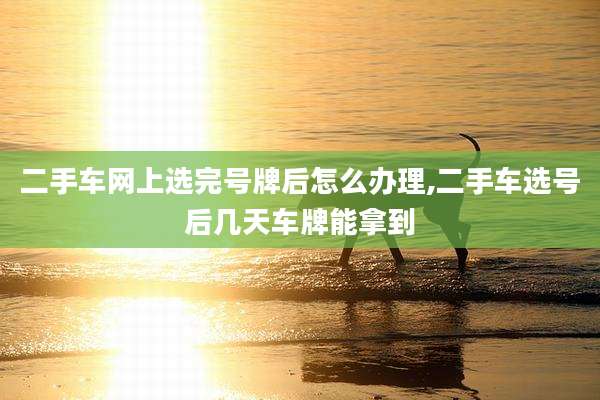 二手车网上选完号牌后怎么办理,二手车选号后几天车牌能拿到