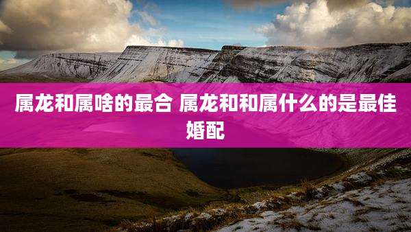 属龙和属啥的最合 属龙和和属什么的是最佳婚配