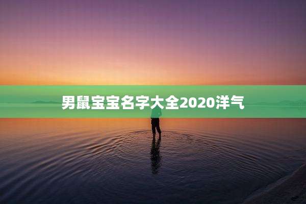 男鼠宝宝名字大全2020洋气