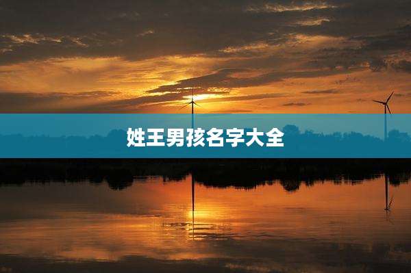 姓王男孩名字大全