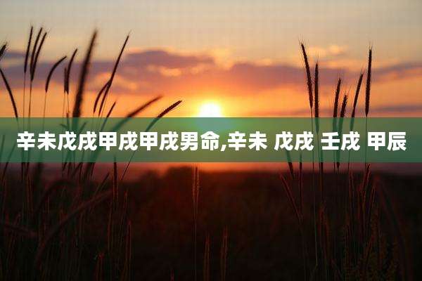 辛未戊戌甲戌甲戌男命,辛未 戊戌 壬戌 甲辰