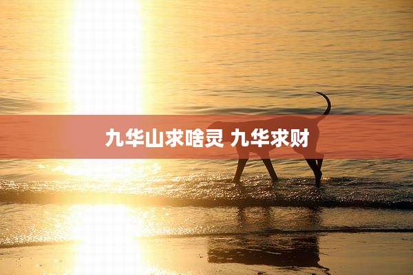 九华山求啥灵 九华求财