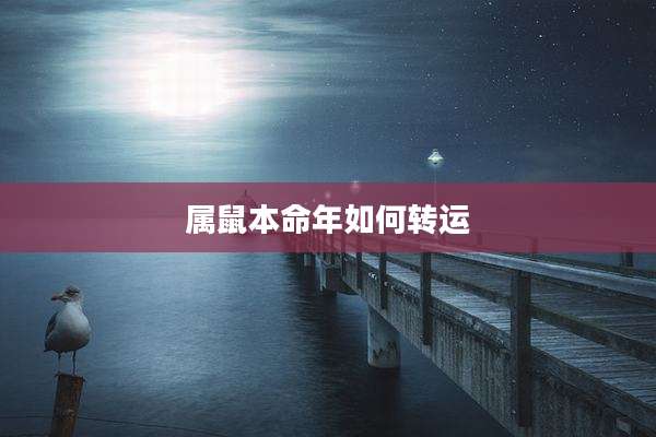 属鼠本命年如何转运