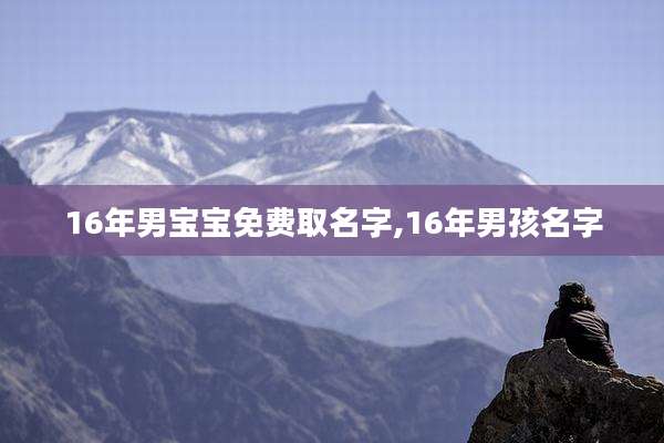 16年男宝宝免费取名字,16年男孩名字