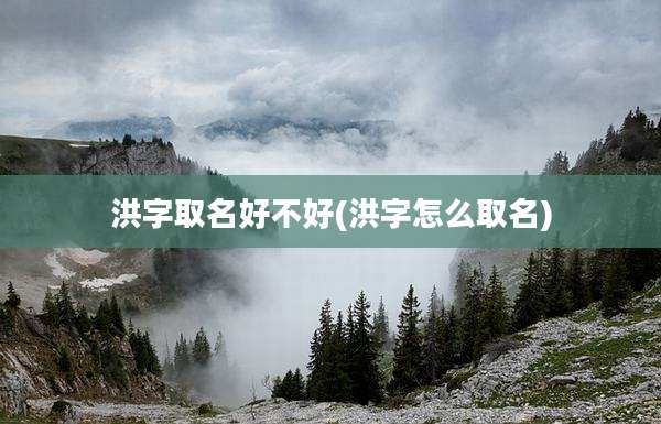 洪字取名好不好(洪字怎么取名)