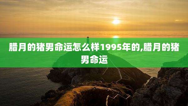 腊月的猪男命运怎么样1995年的,腊月的猪男命运