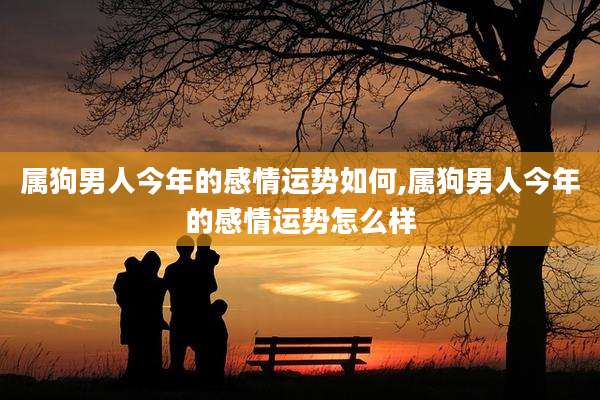 属狗男人今年的感情运势如何,属狗男人今年的感情运势怎么样