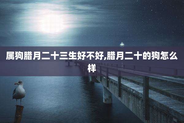 属狗腊月二十三生好不好,腊月二十的狗怎么样