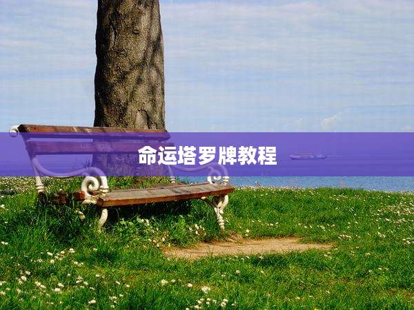 命运塔罗牌教程