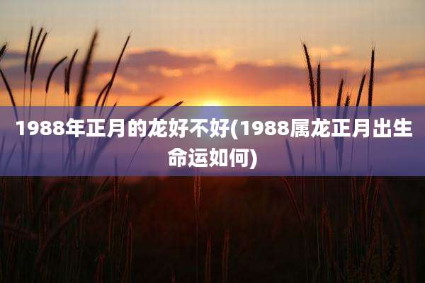 1988年正月的龙好不好(1988属龙正月出生命运如何)