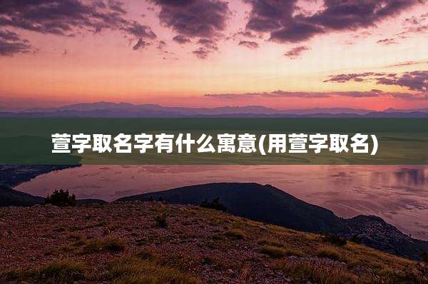 萱字取名字有什么寓意(用萱字取名)