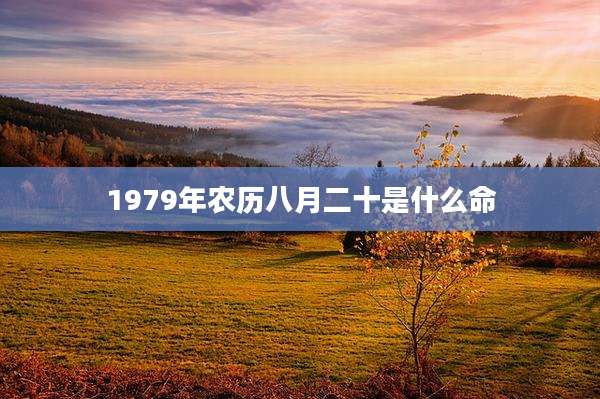 1979年农历八月二十是什么命