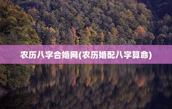 农历八字合婚网(农历婚配八字算命)