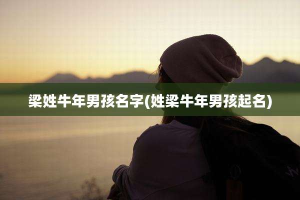 梁姓牛年男孩名字(姓梁牛年男孩起名)
