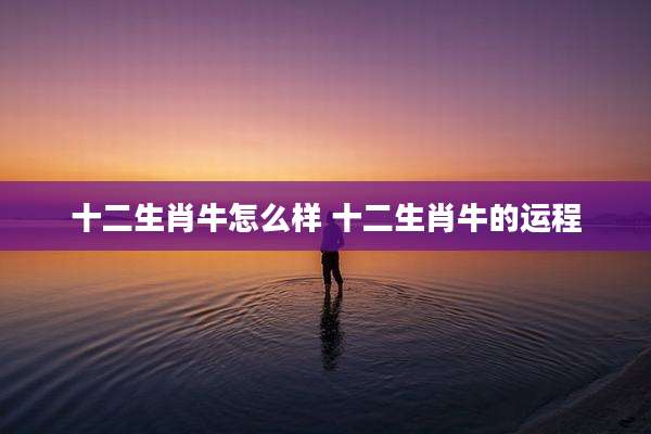 十二生肖牛怎么样 十二生肖牛的运程