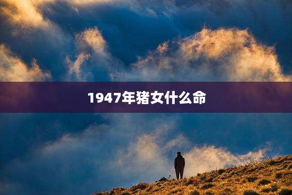 1947年猪女什么命