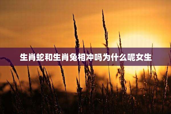 生肖蛇和生肖兔相冲吗为什么呢女生
