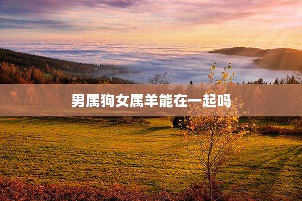 男属狗女属羊能在一起吗
