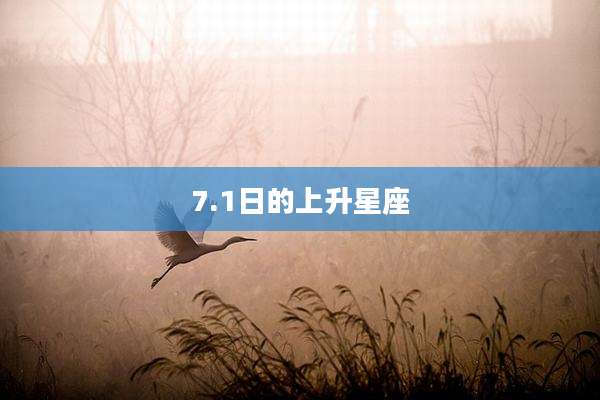 7.1日的上升星座