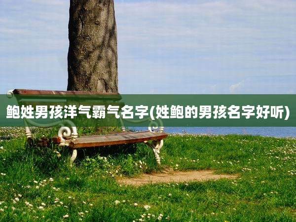 鲍姓男孩洋气霸气名字(姓鲍的男孩名字好听)
