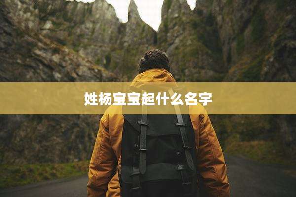 姓杨宝宝起什么名字