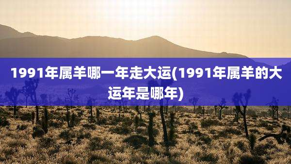 1991年属羊哪一年走大运(1991年属羊的大运年是哪年)