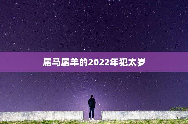 属马属羊的2022年犯太岁
