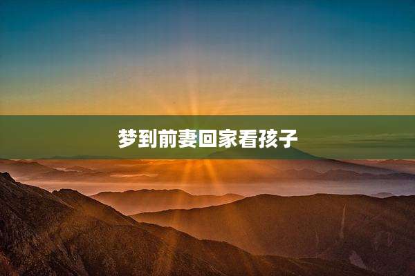 梦到前妻回家看孩子