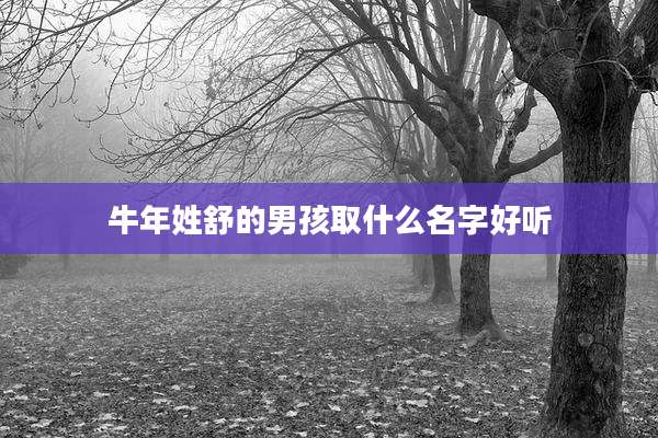 牛年姓舒的男孩取什么名字好听