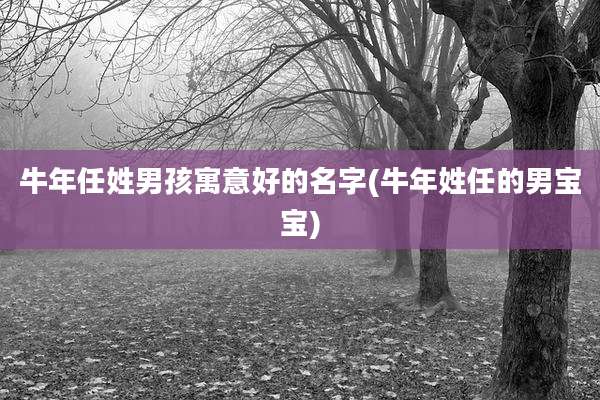 牛年任姓男孩寓意好的名字(牛年姓任的男宝宝)