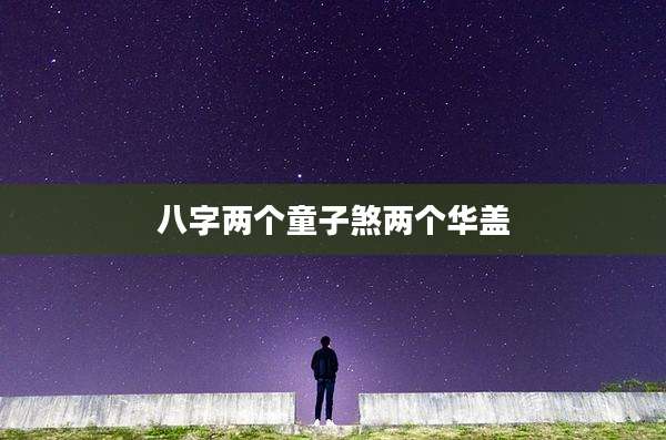 八字两个童子煞两个华盖