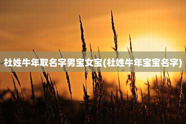杜姓牛年取名字男宝女宝(杜姓牛年宝宝名字)