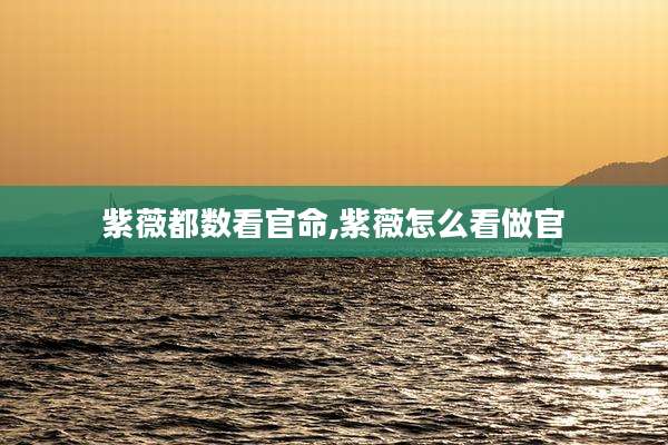 紫薇都数看官命,紫薇怎么看做官