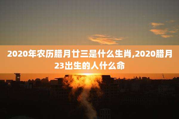 2020年农历腊月廿三是什么生肖,2020腊月23出生的人什么命