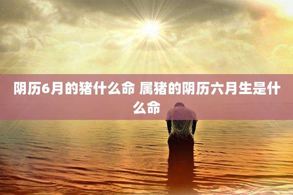 阴历6月的猪什么命 属猪的阴历六月生是什么命