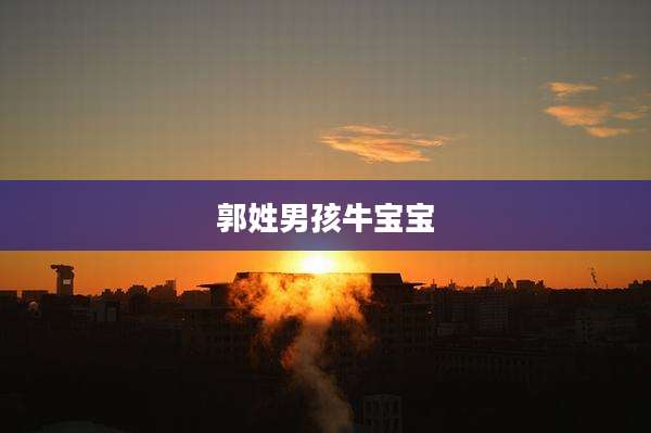 郭姓男孩牛宝宝