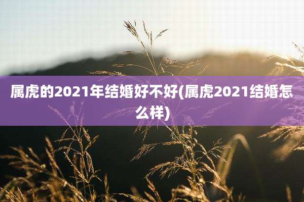 属虎的2021年结婚好不好(属虎2021结婚怎么样)