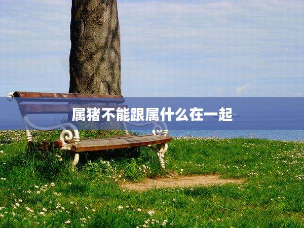 属猪不能跟属什么在一起