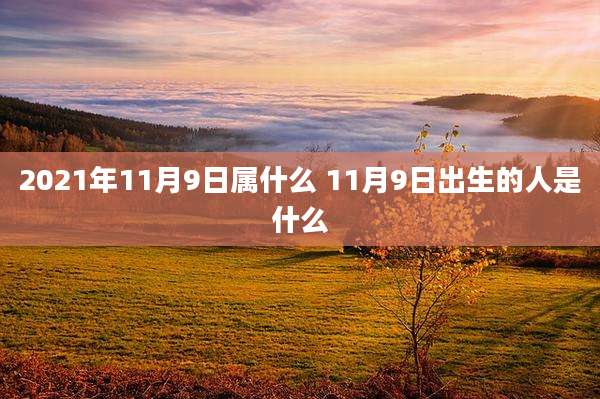 2021年11月9日属什么 11月9日出生的人是什么