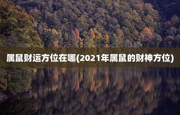 属鼠财运方位在哪(2021年属鼠的财神方位)