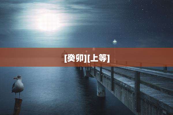 [癸卯][上等]