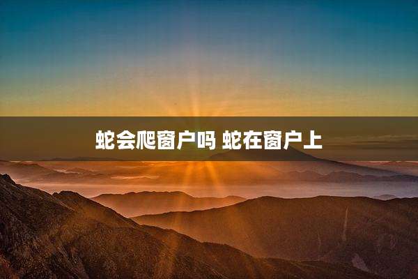 蛇会爬窗户吗 蛇在窗户上