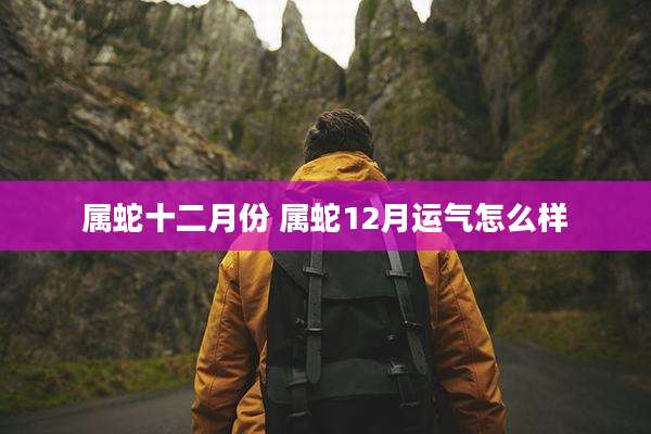 属蛇十二月份 属蛇12月运气怎么样