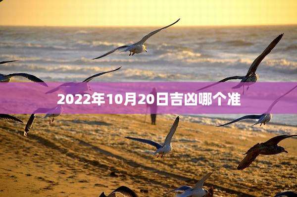 2022年10月20日吉凶哪个准