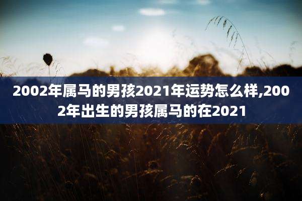 2002年属马的男孩2021年运势怎么样,2002年出生的男孩属马的在2021